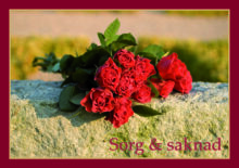 Sorg & Saknad – rosor (4046)